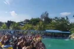 Video Pesta Kolam Dihadiri Ratusan Orang di Deliserdang Langgar Protokol Kesehatan, Viral
