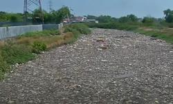 Video Sampah Penuhi Kali di Bekasi, Bau Tercium hingga 100 Meter