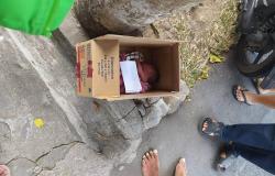 Kasus Pembuangan Bayi di DIY Libatkan IRT sampai Mahasiswa Kedokteran