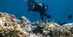 Ingin Eksplorasi Wisata Selam di Bunaken saat New Normal, Ini Syaratnya