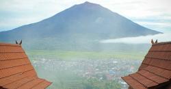 Berkunjung ke Perkebunan Teh Kayu Aro, Pemandangan Indah Udara Sejuk