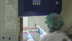 Penuhi Permintaan, Bio Farma Tingkatkan Produksi Alat PCR hingga 2 Juta Unit