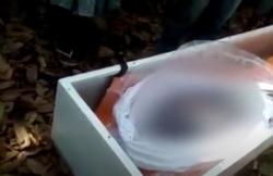 Video Viral Warga di Cirebon Buka Paksa Peti Jenazah Covid-19