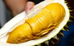 Konsumen China Borong 60 Ton Durian Musang King Malaysia Senilai Rp216 Miliar