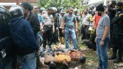 Bak Film Action, Polisi Kejar dan Tembaki Pengedar 100 Kg Ganja di Payakumbuh