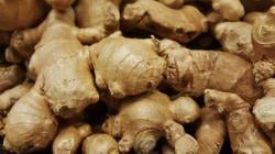4 Manfaat Jahe di Tengah Pandemi Covid-19, Bisa Melawan Infeksi dan Peradangan