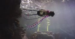 Peneliti Bikin Robot Cumi-Cumi, Bisa Dorong Dirinya dengan Jet Air