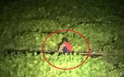 Viral Pria Naik Getek Malam-Malam, Ternyata karena Tak Terima Dituduh Mencuri