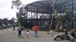 Kebun Binatang di Lembang Segera Tambah Koleksi Hewan Karnivora dan Herbivora Besar<