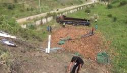 Truk Masuk Jurang di Jalan Tol Trans Sumatera, Sopir Luka Parah<