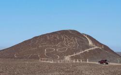 Arkelog Temukan Gambar Kucing Raksasa Misterius Berusia 2.000 Tahun