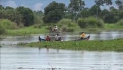 Nelayan Labuhanbatu Utara Hilang di Sungai, Diduga Ditelan Buaya