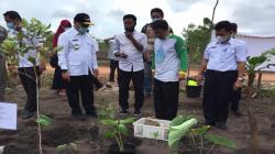 200 Petani Porang di Babel Akan Kontrak KUR untuk Membantu Permodalan