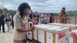 UMKM Papua Ekspor Perdana Kepiting Bakau ke Singapura