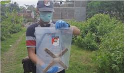 Sempat Diduga Dibunuh, Pegiat LSM di Trenggalek Tewas Kena Gulungan Layang-Layang