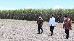 Presiden Jokowi Resmikan Pabrik Gula di Sulawesi Tenggara