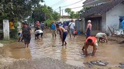 Protes, Warga Jember Tebar Ikan Lele di Kubangan Air Jalan Rusak