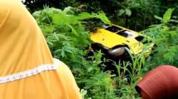 Angkutan Umum Masuk Jurang di Ciamis, 1 Penumpang Tewas 6 Luka-Luka<