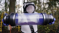 Ilmuwan Amerika Serikat Temukan Sarang Lebah Pembunuh 