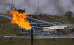 Pertamina Sebut PLN Siap Penuhi Ketersediaan Listrik dan Uap di WK Rokan<