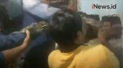 Video Warga Kali Angke Cengkareng Dihebohkan Penemuan Ular Sanca 4 Meter