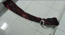 Laki-Laki asal Jakarta Gantung Diri di Rumah Mertua Tasikmalaya, Polisi Selidiki Motif<