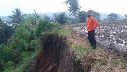 Tanah Tebing Tinggi 30 Meter Dekat Ruas Tol Cipularang KM 116 Longsor<