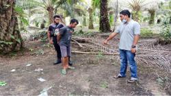 Cabuli Pacar di Bawah Umur, Pemuda di Bangka Tengah Diringkus