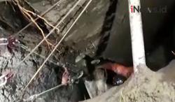 Video Evakuasi Sapi Seberat 3 Kuintal di Purbalingga Terperosok ke Sumur