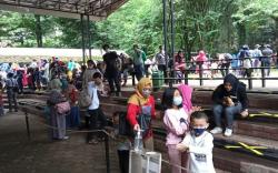 2.400 Orang Kunjungi Kebun Binatang Bandung di Hari Terakhir Libur Panjang<
