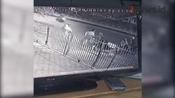 Video Begal Sadis dan Penadah Barang Curian di Tambora Jakarta Ditangkap