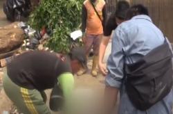 Video Penemuan Jasad Bayi Perempuan di Kali Cengkareng, Diduga Hasil Hubungan Gelap
