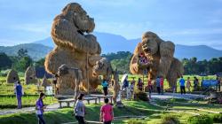 Penampakan Gorila Raksasa di Tepi Danau Chiang Mai Thailand