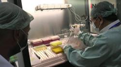 Video Peneliti Unair Surabaya Kembangkan Vaksin Covid-19 Berbentuk Tablet Dapat Diminum