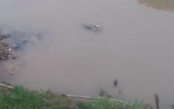 Mayat Terbawa Arus Deras Kali Bekasi, Petugas Kesulitan Evakuasi