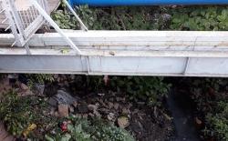 Pria Tunawisma Ditemukan Tewas di Gorong-Gorong Kali Sunter