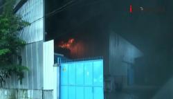 Video Detik-Detik Gudang Getah Pinus di Percut Sei Tuan Ludes Terbakar