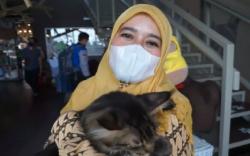 Berkunjung ke Lembang Park Zoo, Istri Wagub Jabar Senang Menggendong Kucing<