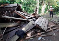 Belasan Gajah Mengamuk di Lampung Barat, Puluhan Rumah Ambruk