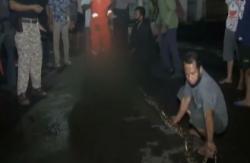 Video Ular 6 Meter Gegerkan Warga Palmerah Jakarta