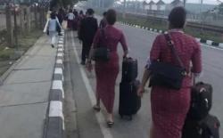 Massa Banjiri Bandara Sambut Habib Rizieq, Pegawai Bandara Kesulitan Kerja