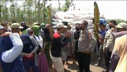 Pupuk Subsidi Langka, Ratusan Petani Sawah Tadah Hujan di Tuban Hadang Truk Distributor