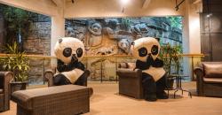 Liburan di Puncak, Unik Wisata di Royal Safari Garden sambil Lihat Koleksi Satwa