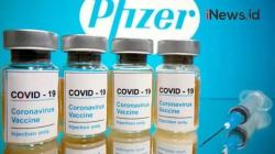 Video CEO Pfizer Jual 62 Persen Saham usai Umumkan Vaksin Covid-19
