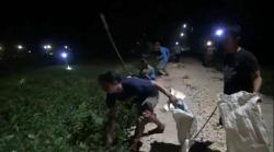 Tak Ingin Gagal Panen Lagi, Para Petani di Lamongan Berburu Tikus pada Malam Hari