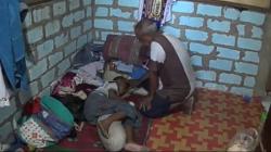 Kejar Iguana, Bocah 10 Tahun di Surabaya Nyaris Tewas Tersengat Listrik 