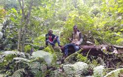 Warga 3 Desa di Rembang Sisir Hutan Cari Macan Kumbang