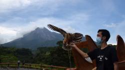 Gunung Merapi Siaga, Kawasan Kaliadem Banyak Dikunjungi Wisatawan