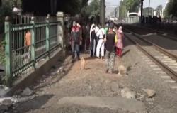 Video Perempuan Tewas Ditabrak Kereta di Jakbar