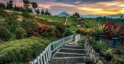 Keseruan Berwisata di Madu Efi Tanah Karo, Lihat Peternakan sambil Camping